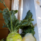 Magyarország Legszebb Konyhakertjei országos díjátadó