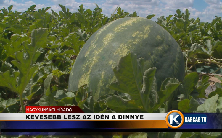 KEVESEBB LESZ AZ IDÉN A DINNYE  