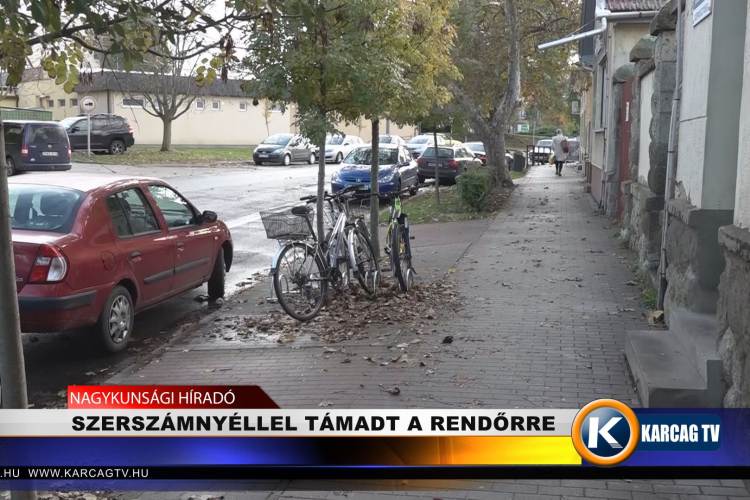SZERSZÁMNYÉLLEL TÁMADT A RENDŐRRE