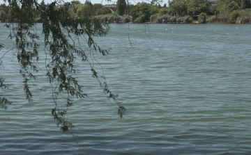 NYÁRI VÍZSZINTTEL TELEL AZ ALCSI HOLT- TISZA