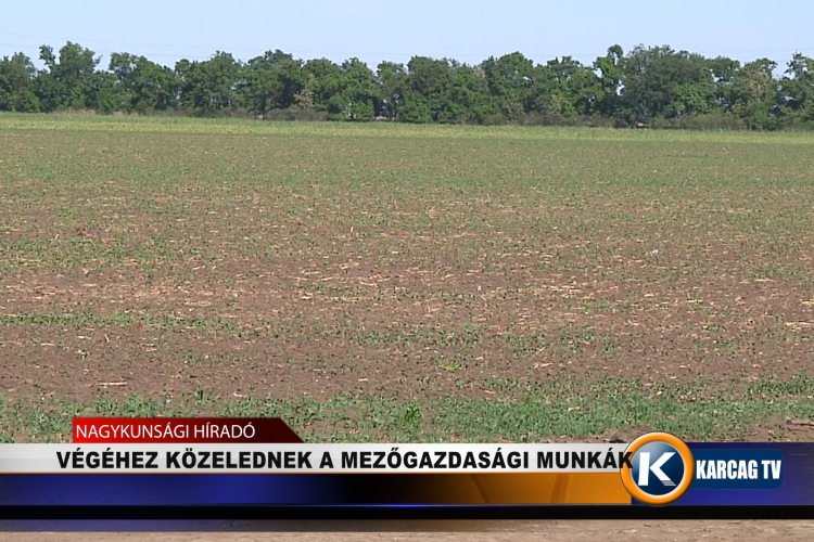 VÉGÉHEZ KÖZELEDNEK A MEZŐGAZDASÁGI MUNKÁK