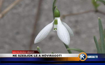 NE SZEDJÜK LE A HÓVIRÁGOT!
