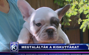 Megtalálták a kiskutyákat