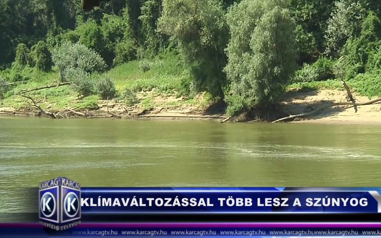 A klímaváltozással több lesz a szúnyog