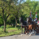 Tekósok ballagása