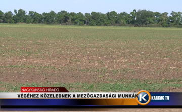 VÉGÉHEZ KÖZELEDNEK A MEZŐGAZDASÁGI MUNKÁK