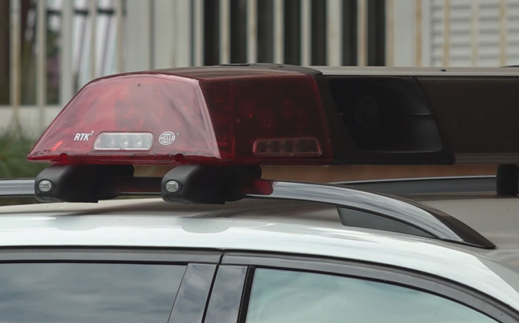 ŐRIZETBEN A KARCAGI TOLVAJ