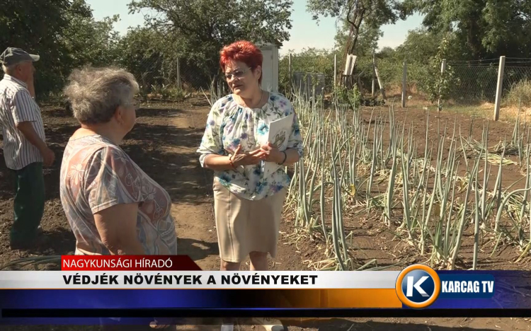 VÉDJÉK NÖVÉNYEK A NÖVÉNYEKET