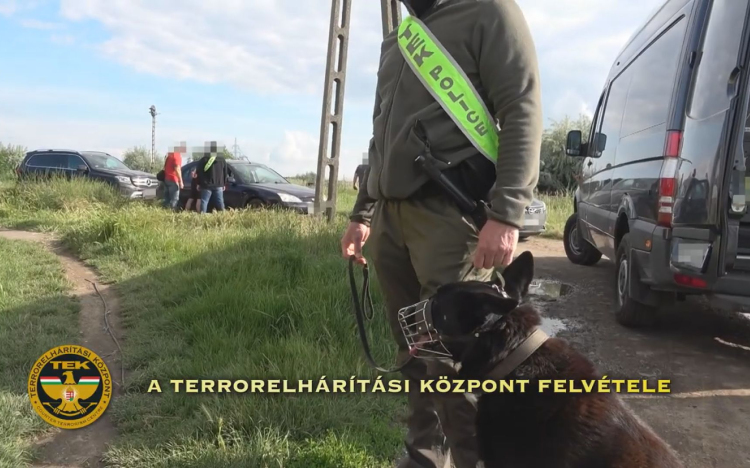 KARCAGI DÍLERT VONTAK KI A FORGALOMBÓL