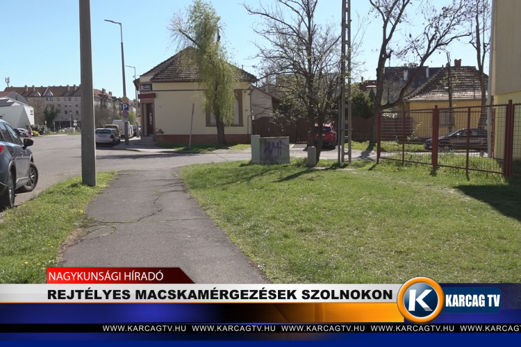 REJTÉLYES MACSKAMÉRGEZÉSEK SZOLNOKON