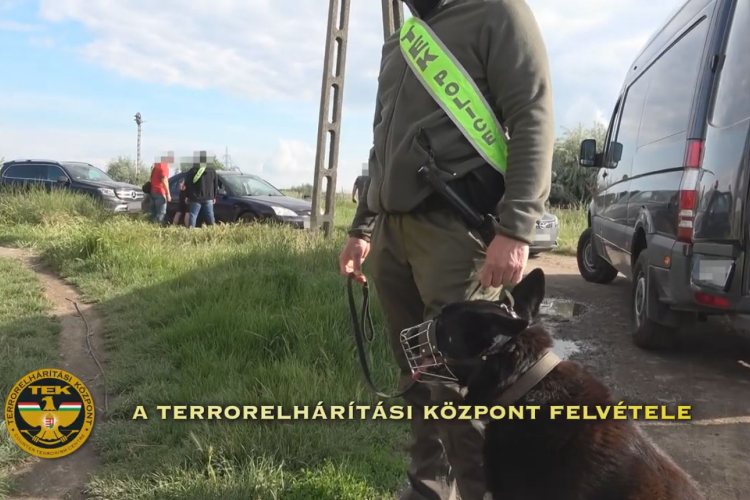 KARCAGI DÍLERT VONTAK KI A FORGALOMBÓL