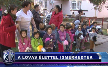 A LOVAS ÉLETTEL ISMERKEDTEK