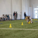 Aktív Karcag - Sportos Tavaszi játszóház