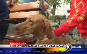 KISÁLLAT BEMUTATÓ AZ ÁLLATOK VILÁGNAPJÁN