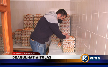 DRÁGULHAT A TOJÁS
