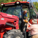 Szent István Napi programok Karcagon