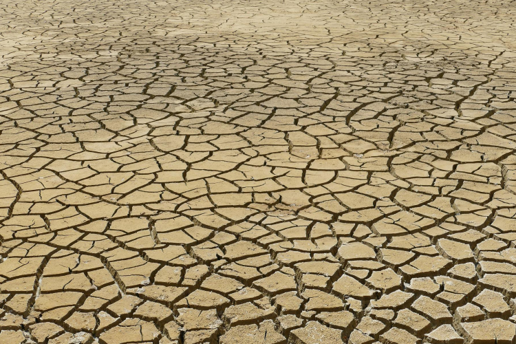 Elemzés: a növekvő klímaszorongás a gyermekvállalást is befolyásolja