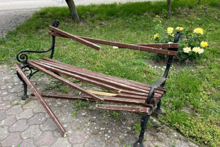 EGY KUKÁN ÉS EGY PADON VEZETTE LE DÜHÉT