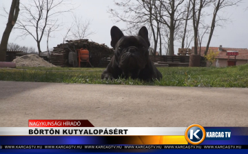 BÖRTÖN KUTYALOPÁSÉRT
