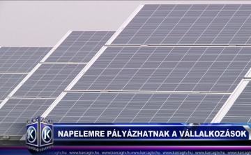 Napelemre pályázhatnak a vállalkozások