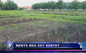 SZENTANNAI KISKERT A MENTS MEG EGY KERTET PROGRAMBAN