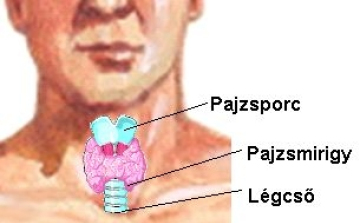 Más kezelést igényelhetnek télen a pajzsmirigy betegek