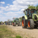 Szent István Napi programok Karcagon