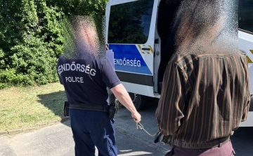 LEKAPCSOLTAK KÉT TÖRÖKSZENTMIKLÓSI DÍLERT