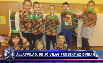 Állatvilág, de jó világ projekt az oviban