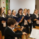 Idősek Napja a Zöldfa úti Idősek Otthonában