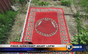 PIROS SZŐNYEGET AKART LOPNI