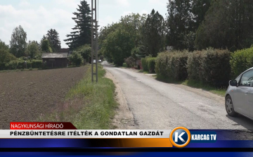 PÉNZBÜNTETÉSRE ITÉLTÉK A GONDATLAN GAZDÁT 