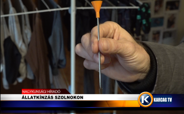 ÁLLATKÍNZÁS SZOLNOKON