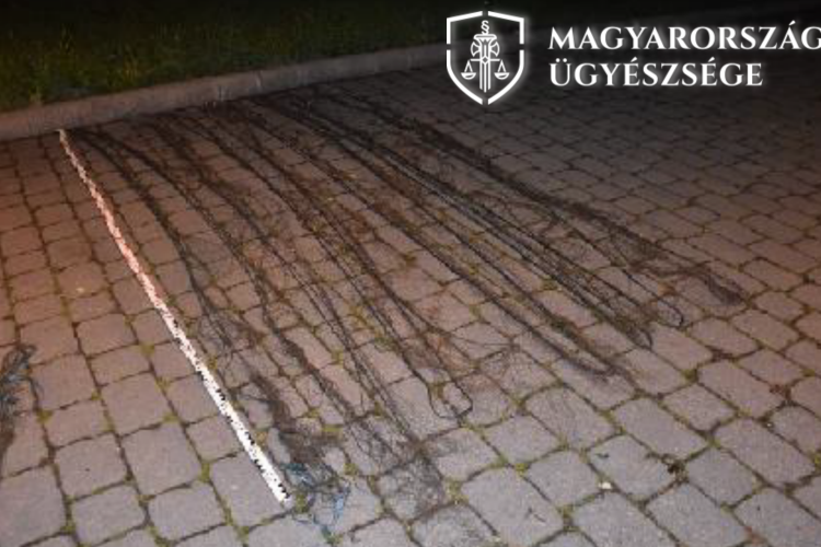 Apa és fia együtt orvhalászott a Karcag melletti Villogó-főcsatornánál