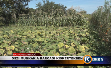 ŐSZI MUNKÁK A KARCAGI KISKERTEKBEN