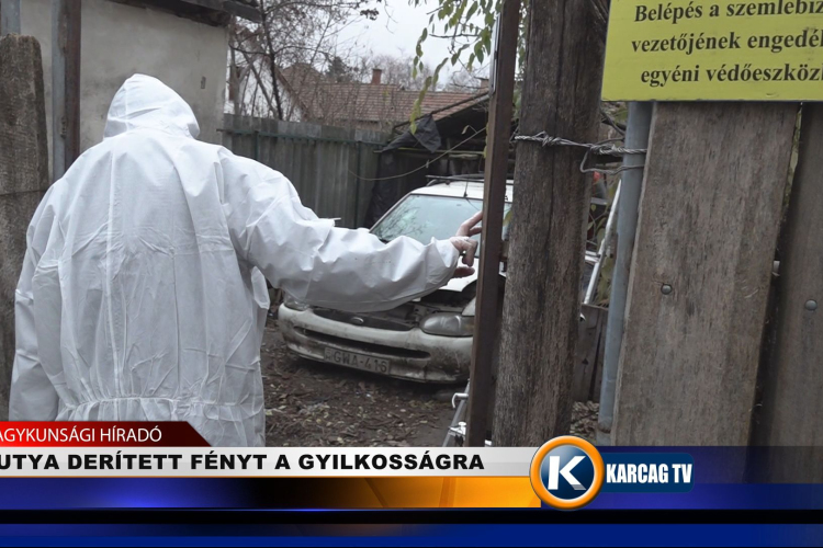 KUTYA DERÍTETT FÉNYT A GYILKOSSÁGRA