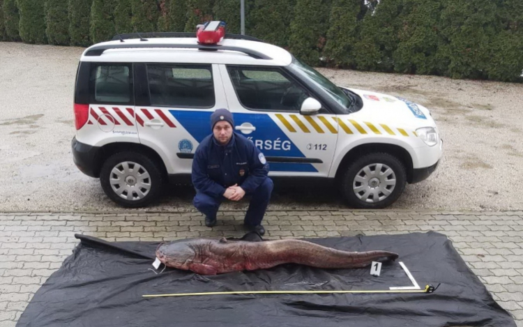 A tiszai vízirendészeti rendőrkapitányság munkatársai tetten érték a feltételezett elkövetőket