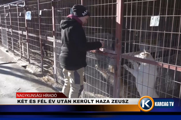 KÉT ÉS FÉL ÉV UTÁN KERÜLT HAZA ZEUSZ 