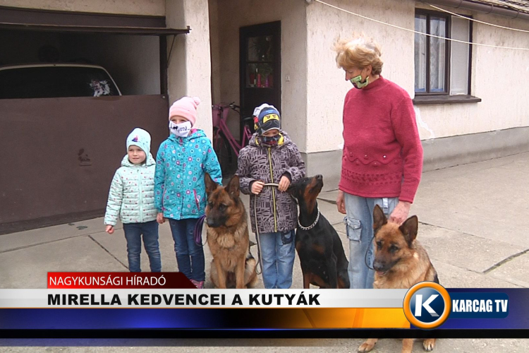 MIRELLA KEDVENCEI A KUTYÁK