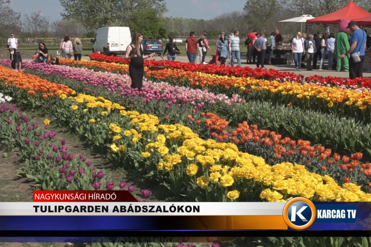 TULIPGARDEN ABÁDSZALÓKON