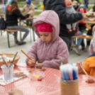 Traktoros ügyességi verseny