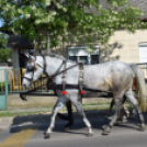 A Szentannai Középiskola ballagása