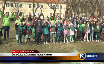 ÖLTÖZZ ZÖLDBE! FLASHMOB