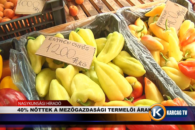 40 SZÁZALÉKKAL NŐTTEK A MEZŐGAZDASÁGI TERMELŐI ÁRAK