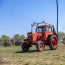 Családi nap és traktoros ügyességi verseny
