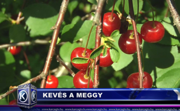 KEVÉS A MEGGY