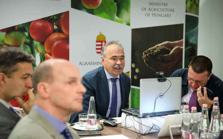 Ismételten közösen lépnek fel az ukrán import ellen a közép-európai országok agrárminiszterei