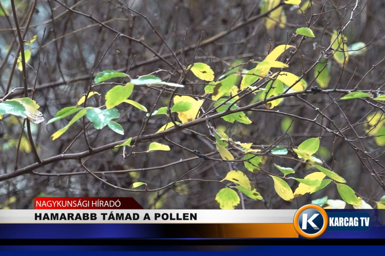 HAMARABB TÁMAD A POLLEN 