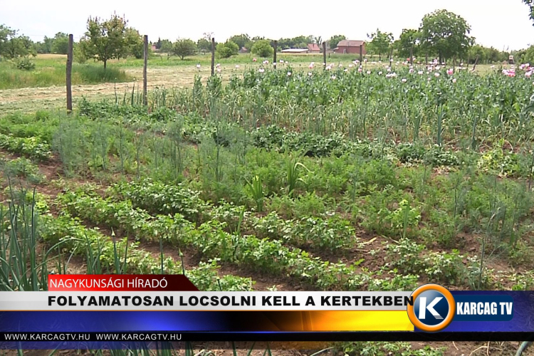 FOLYAMATOSAN LOCSOLNI KELL A KERTEKBEN