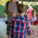 Fecskevató a Györffyben